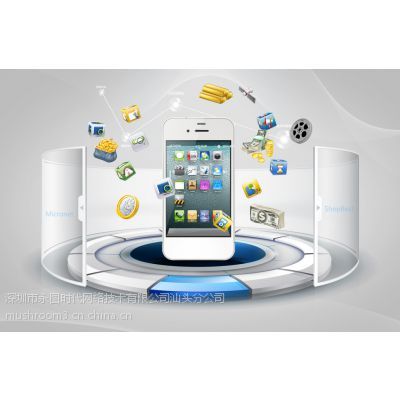 汕頭網站建設與設計專家 打造誠信通旺鋪，賦能企業數字化發展